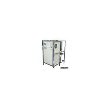 Ozone Water Treatment Machine (CHYS-2C)