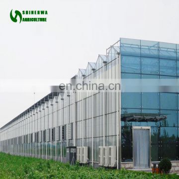 Glass Greenhouse/Commercial Greenhouse/Hydroponic Growing System For Sale