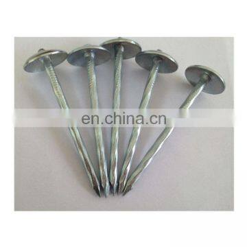 Hot Selling Corrugated Roofing Nails