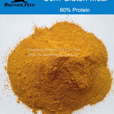 Protein 60% Animal Feed Poultry Feed Additive Grade Corn Gluten Meal Corn Not Gluten Meal