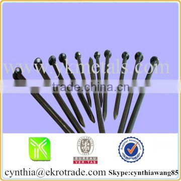 Polished common nail big supplier in China