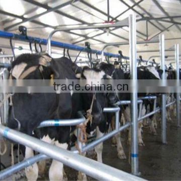 mid-set automatic milking machine system for cow, sheep, goat, milk machine