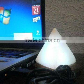 Salt USB Multi Color Lamp with wooden Base