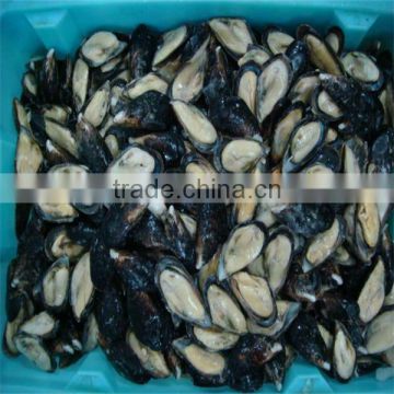 frozen cooked mussels shells