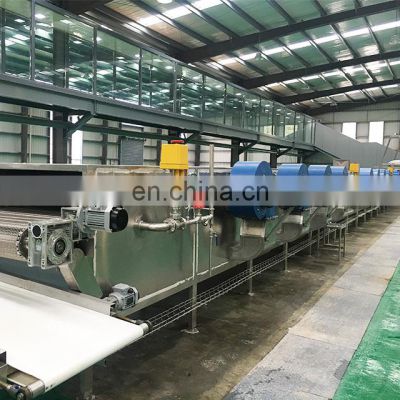 Dried fruits production line Turn key solution for dried fruits production machine