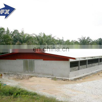 Qingdao Director Prefabricated Poultry Farm Steel Structures Construction Chicken Shed Plan