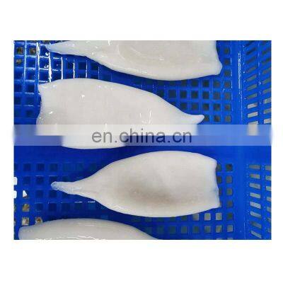 Good quality frozen illex squid tube skinless