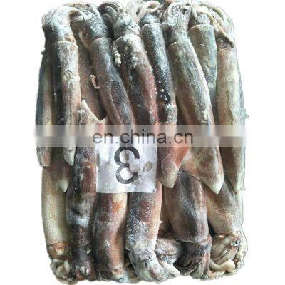 top quality sea frozen illex squid frozen illex squid whole round all size