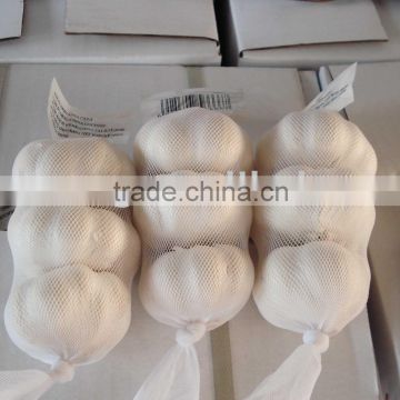 Chinese pure white garlic