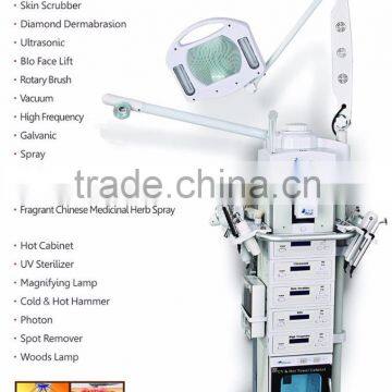 Fade Melasma 19 In 1 Multifunction Facial Beauty Machine Spray Facial Beauty Machine Whitening Skin