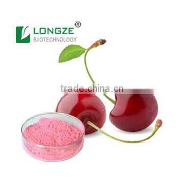 ISO Certified Acerola Cherry Fruit Powder West Indian cherry powder with VC Reaching 25%
