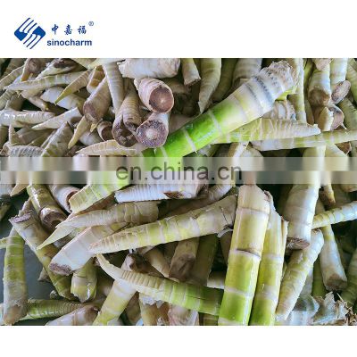 Sinocharm Frozen Vegetable New products Frozen  Thunder bamboo shoot