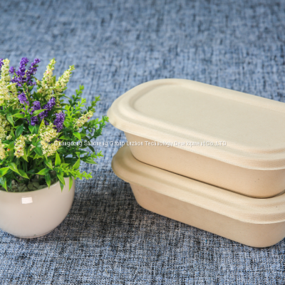 biodegradable tableware disposable compostable sugarcane bagasse pulp bamboo pulp salad bowl with lid paper two divisions