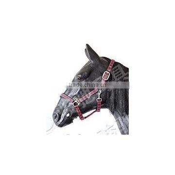 NL1301 horse standard padded halter