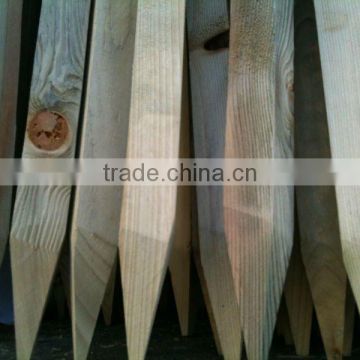 Carbonized Softwood Stake