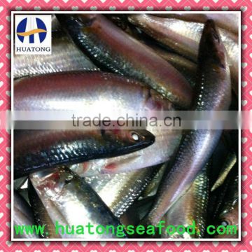 80-120g Frozen sardine
