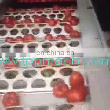 Newest Professional blueberry sorting machine bean battery for commercial