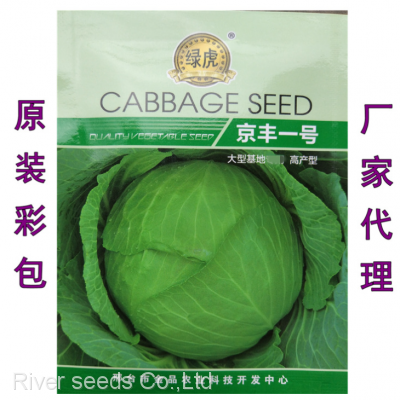 200pcs NON-GMO High germination green red cabbage seeds packet for planting