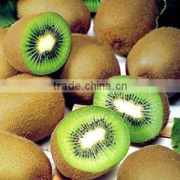 Fresh qinmei kiwi with best price for sale