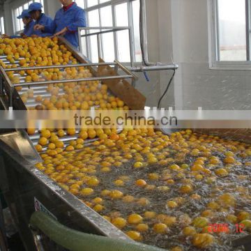 fruit washer for orange