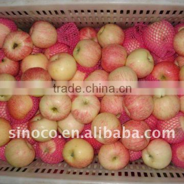 China Red Royal Gala Apple