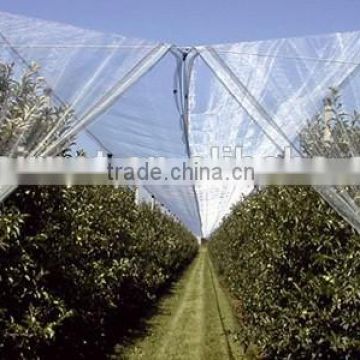 vineyard used anti hail net/hail protection net/plastic net china supplier