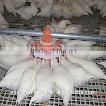 New Poultry farming