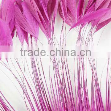 purple stripped coque feathers LZXZ00226
