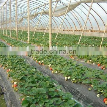 Best Price top quality Protective garden plastic mulch film