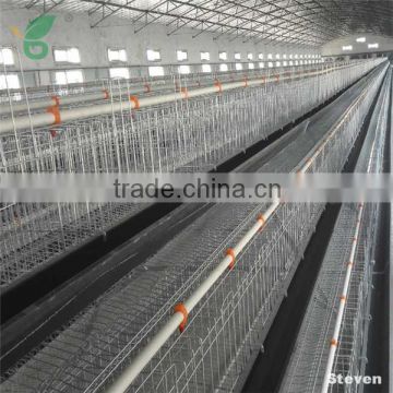 Asian country Banladesh chicken farm used poultry layer chicken cage