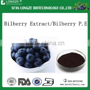 Bilberry Extract Anthocyanidin with 5% 10% 25% for helth care food raw material