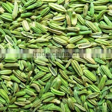 Fennel Seeds suppliers