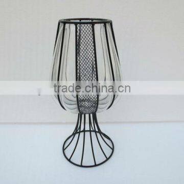 Wire with blown glass flowr vase