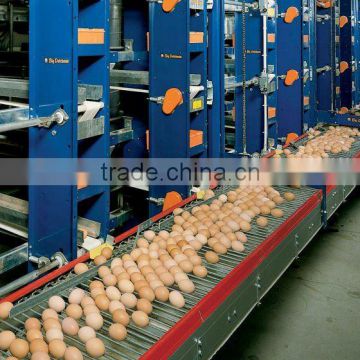 Automatic egg collection system for 3 floor cage