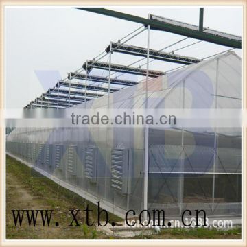 Film arch greenhouse for sale from big greenhouse manufacturer in China