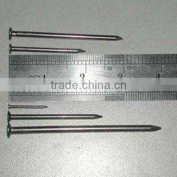 Galvanize Common nails/Wood nails in Shijiazhuang