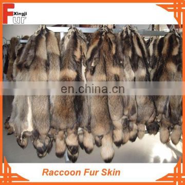 Tanned Chinese Raccoon Fur Skin