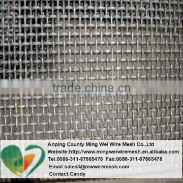 Galvanized and Stainless Steel Double Crimped Wire Mesh