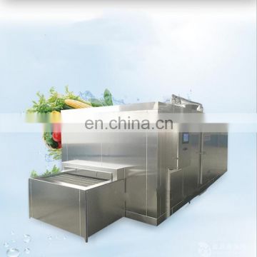 Professional supplier Fruits Vegetables French Fries Fish Seafood Industrial IQF Tunnel Quick Freezers