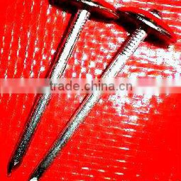 Electric Galvanized Roofing nail with Umbrella Head