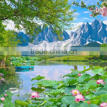 Chinese national Folk landscape pictures for home decoration