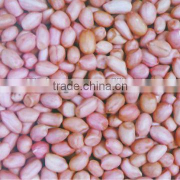 2012 raw peanut kernel of Shandong,China