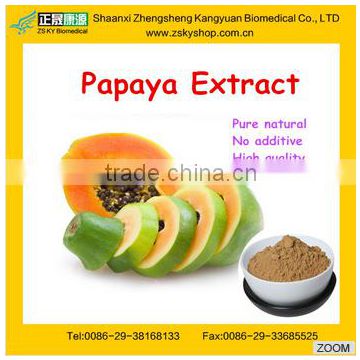 GMP manufacturer supply Natural Papaya Seed Extract---Papain