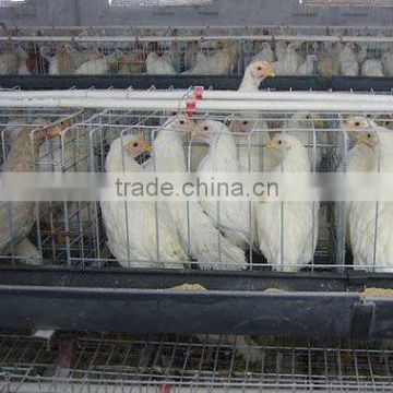 High quaity Battery cage