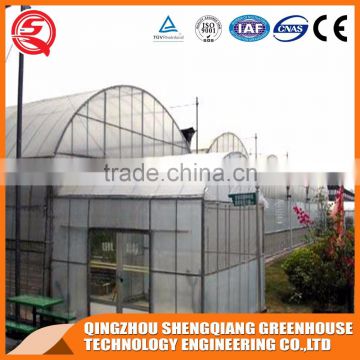 China supplier multi-span plastic film agricultural greenhouse for sale