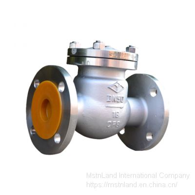 Mstnland STAINLESS STEEL SWING CHECK VALVE