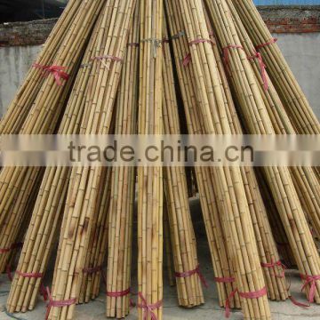 Bamboo pole Sun-007