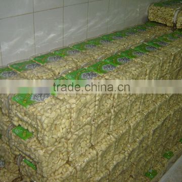 220-280pcs Specification of Peeled Garlic Cloves