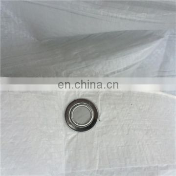 Laminated pe tarps fabric in roll for cover