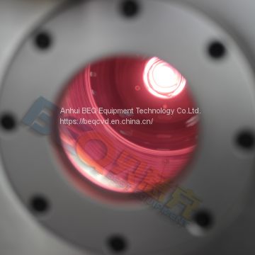 Plasma cleaner BMS-150